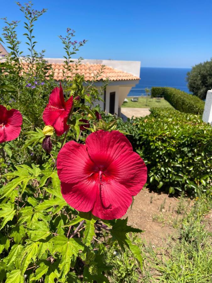 Villa Sofia *Luxury Experience In Calabria Zambrone Eksteriør billede