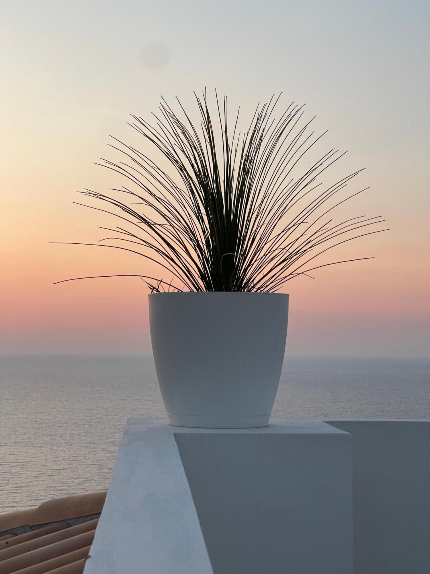 Villa Sofia *Luxury Experience In Calabria Zambrone Eksteriør billede